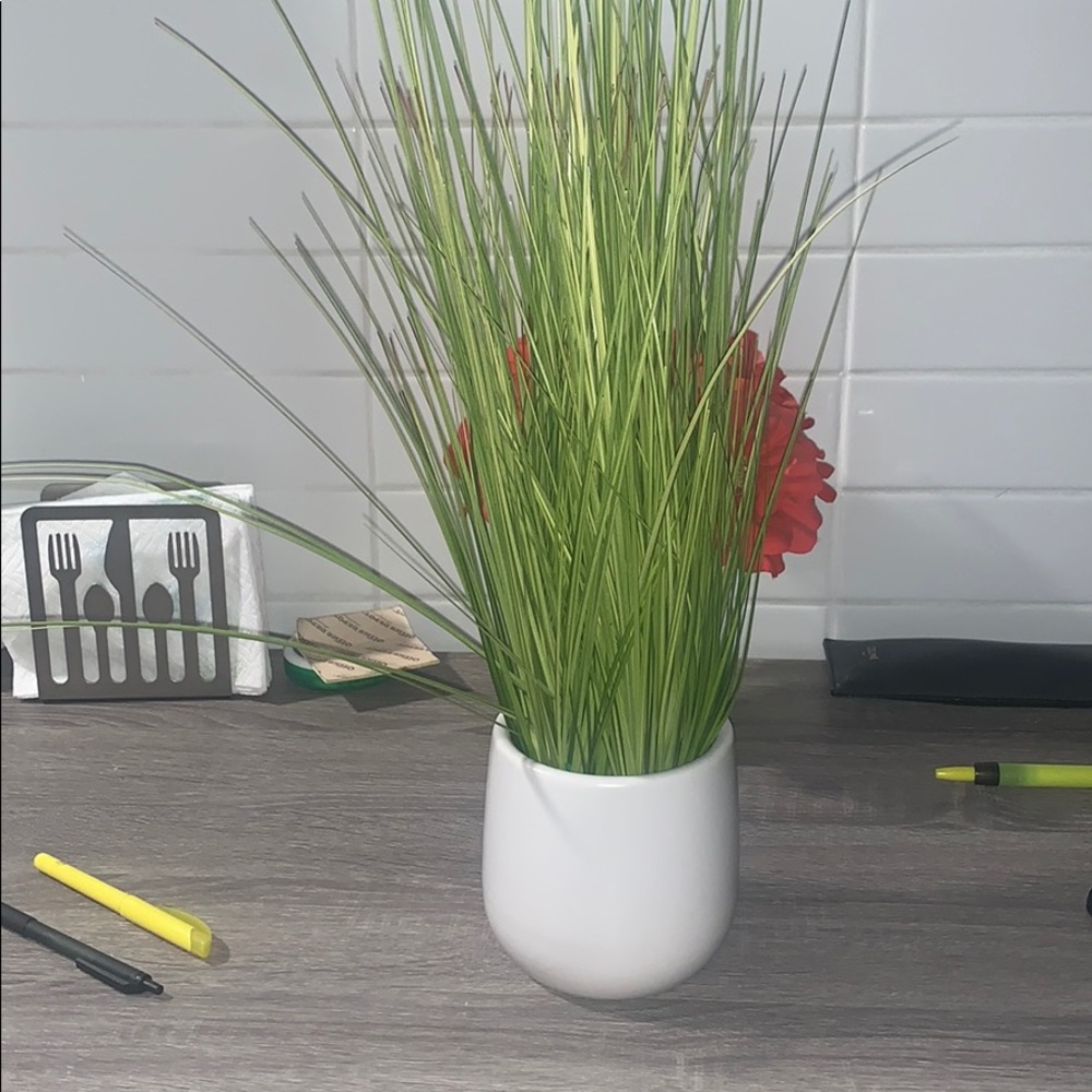 Plant from target